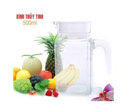 Combo 2 Bình Thủy Tinh 500ml Tiện Dụng