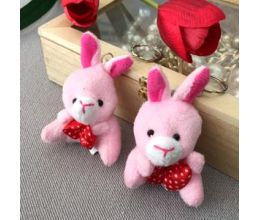 Combo 2 Móc Khóa Gấu Hồng