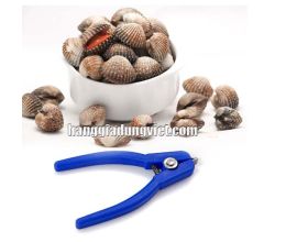 Dụng Cụ Tách Sò Huyết