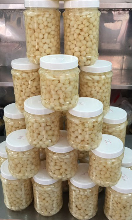 combo 10 mieng luoi nhua chan hu